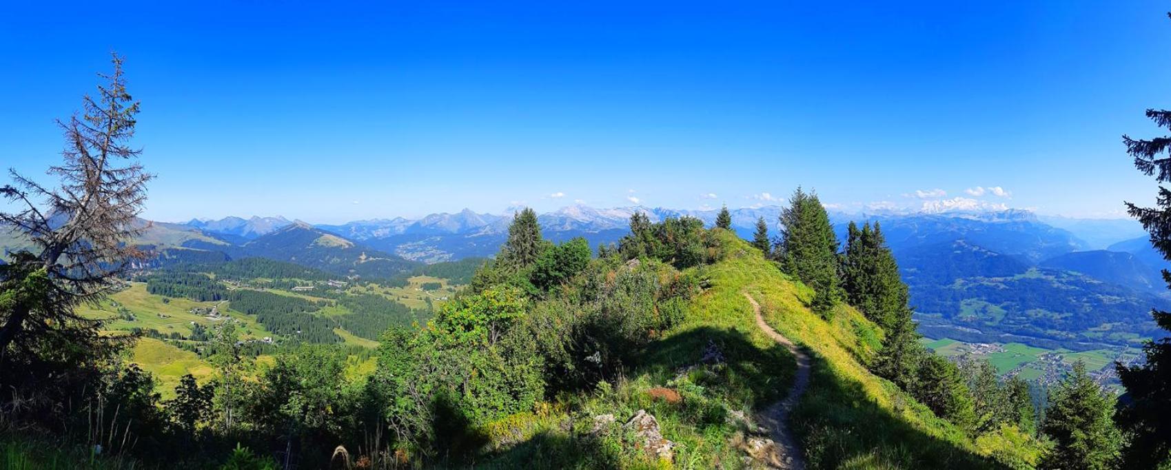 Le Taconet Hotel Le Praz de Lys Kültér fotó